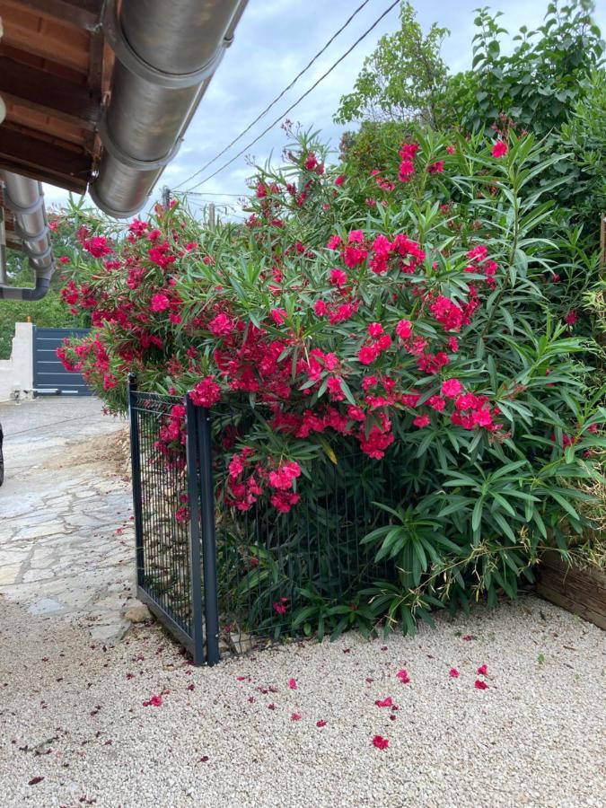 הוילה Langlade Au Coeur De La Pinede De 1 A 4 Personnes מראה חיצוני תמונה